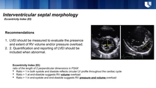 2025 ASE Right Heart and PH Guidelines (Cardiac Imaging Symposium) | PPTX