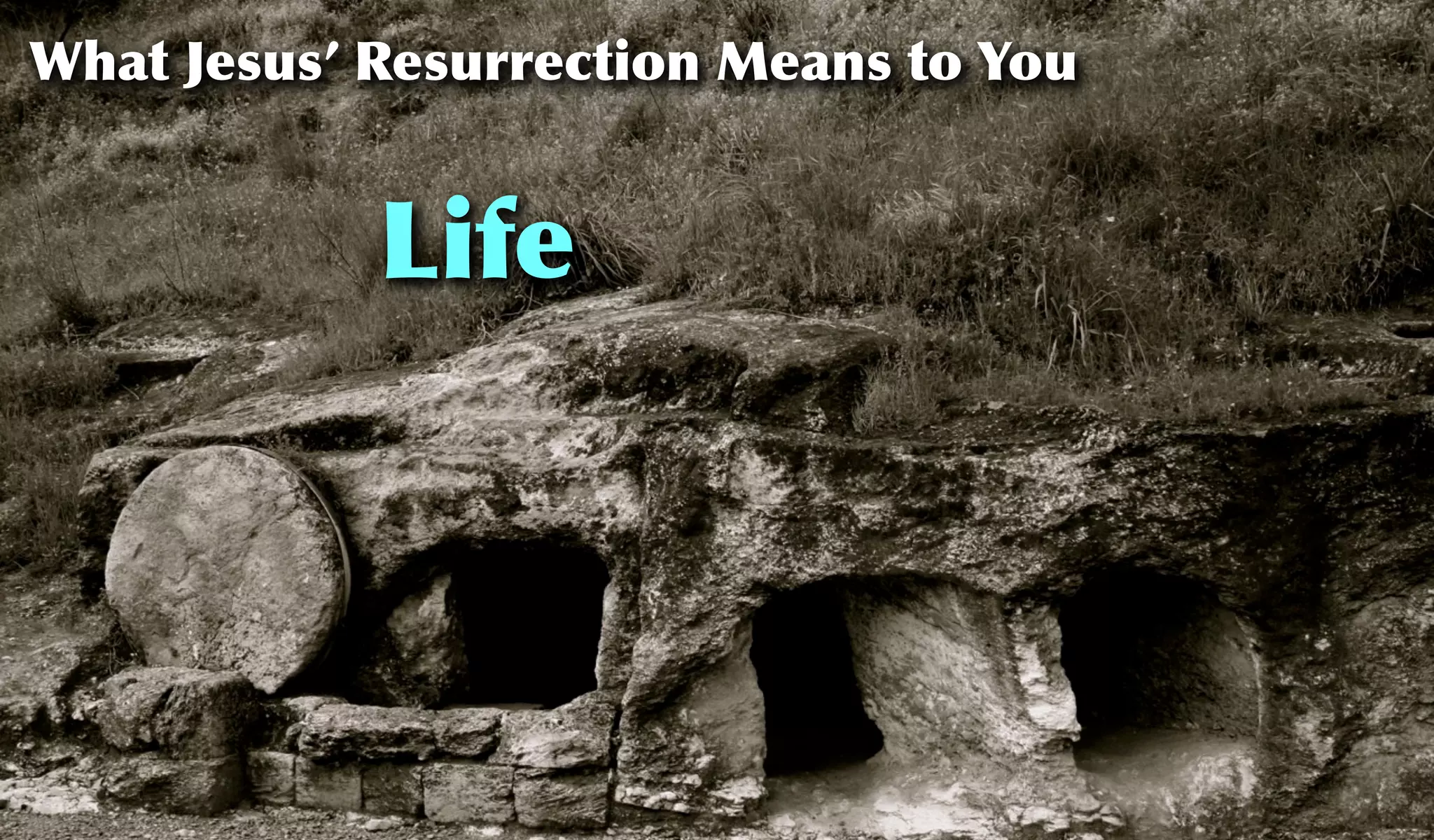 Life
What Jesus’ Resurrection Means to You
 