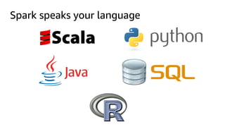 Spark speaks your language
 