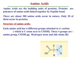 Amino Acids
Amino Acids are the building units of proteins. Proteins are
polymers of amino acids linked together by Peptide bond.
There are about 300 amino acids occur in nature. Only 20 of
them occur in proteins.
Structure of amino acids:
Each amino acid has 4 different groups attached to - carbonα
( which is C-atom next to COOH). These 4 groups are :
amino group, COOH gp, Hydrogen atom and side chain (R)
R
 