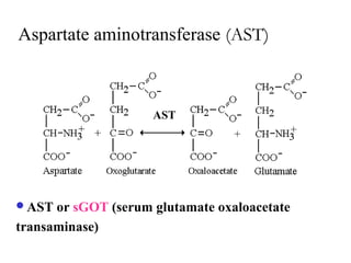 Aspartate aminotransferase (AST)
AST or sGOT (serum glutamate oxaloacetate
transaminase)
AST
 