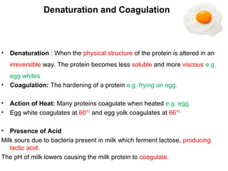 Denaturation and Coagulation
• Denaturation : When the physical structure of the protein is altered in an
irreversible way. The protein becomes less soluble and more viscous e.g.
egg whites
• Coagulation: The hardening of a protein e.g. frying an egg.
• Action of Heat: Many proteins coagulate when heated e.g. egg.
• Egg white coagulates at 60°C
and egg yolk coagulates at 66°C
• Presence of Acid
Milk sours due to bacteria present in milk which ferment lactose, producing
lactic acid.
The pH of milk lowers causing the milk protein to coagulate.
 