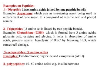 Examples on Peptides:
1- Dipeptide ( two amino acids joined by one peptide bond):
Example: Aspartame which acts as sweetening agent being used in
replacement of cane sugar. It is composed of aspartic acid and phenyl
alanine.
2- Tripeptides ( 3 amino acids linked by two peptide bonds).
Example: Glutathione (GSH) which is formed from 3 amino acids:
glutamic acid, cysteine and glycine. It helps in absorption of amino
acids, protects against hemolysis of RBC by breaking H2O2 which
causes cell damage.
3- octapeptides: (8 amino acids)
Examples: Two hormones; oxytocine and vasopressin (ADH).
4- polypeptides: 10- 50 amino acids: e.g. Insulin hormone
 