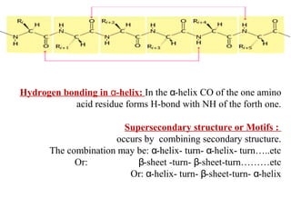 Hydrogen bonding in α-helix: In the α-helix CO of the one amino
acid residue forms H-bond with NH of the forth one.
Supersecondary structure or Motifs :
occurs by combining secondary structure.
The combination may be: -helix- turn- -helix- turn…..etcα α
Or: -sheet -turn- -sheet-turn………etcβ β
Or: -helix- turn- -sheet-turn- -helixα β α
 