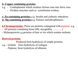 b- Copper containing proteins:
e.g. - Ceruloplasmin which oxidizes ferrous ions into ferric ions.
- Oxidase enzymes such as cytochrome oxidase.
c- Zn containing proteins: e.g. Insulin and carbonic anhydrase
d- Mg containing proteins:e.g. Kinases and phosphatases.
6-Chromoproteins: These are proteins conjugated with pigment. e.g.
- All proteins containing heme (Hb, myoglobin, ………..)
- Melanoprotein:e.g proteins of hair or iris which contain melanin.
Derived proteins
Produced from hydrolysis of simple proteins.
e.g. - Gelatin: from hydrolysis of collagen
- Peptone: from hydrolysis of albumin
 