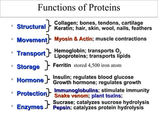  StructuralStructural
 MovementMovement
 TransportTransport
 StorageStorage
 HormoneHormone
 ProtectionProtection
 EnzymesEnzymes
CollagenCollagen; bones, tendons, cartilage
KeratinKeratin; hair, skin, wool, nails, feathers
Myosin & ActinMyosin & Actin; muscle contractions
HemoglobinHemoglobin; transports O2
LipoproteinsLipoproteins; transports lipids
FerritinFerritin  stored 4,500 iron atom
InsulinInsulin; regulates blood glucose
Growth hormoneGrowth hormone; regulates growth
ImmunoglobulinsImmunoglobulins; stimulate immunity
Snake venomSnake venom;; plant toxinsplant toxins;
SucraseSucrase; catalyzes sucrose hydrolysis
PepsinPepsin; catalyzes protein hydrolysis
Functions of Proteins
 