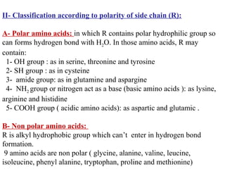 II- Classification according to polarity of side chain (R):
A- Polar amino acids: in which R contains polar hydrophilic group so
can forms hydrogen bond with H2O. In those amino acids, R may
contain:
1- OH group : as in serine, threonine and tyrosine
2- SH group : as in cysteine
3- amide group: as in glutamine and aspargine
4- NH2 group or nitrogen act as a base (basic amino acids ): as lysine,
arginine and histidine
5- COOH group ( acidic amino acids): as aspartic and glutamic .
B- Non polar amino acids:
R is alkyl hydrophobic group which can’t enter in hydrogen bond
formation.
9 amino acids are non polar ( glycine, alanine, valine, leucine,
isoleucine, phenyl alanine, tryptophan, proline and methionine)
 