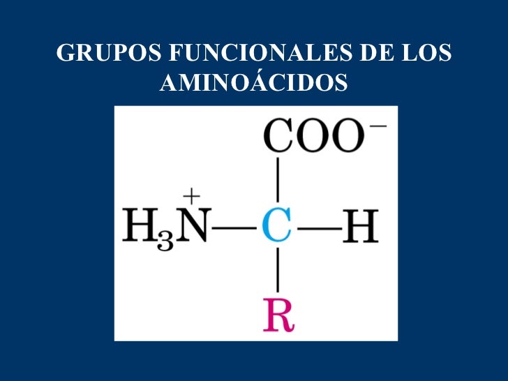 03 aminoácidos
