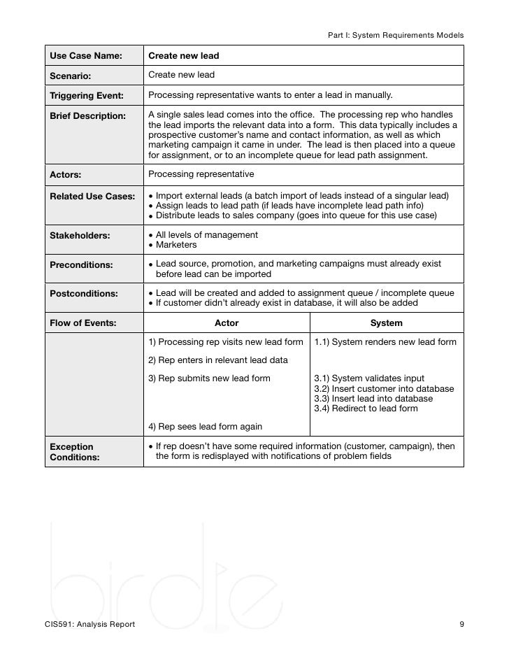 Birdie Analysis Report
