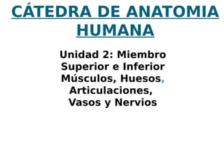 CÁTEDRA DE ANATOMIA
HUMANA
Unidad 2: Miembro
Superior e Inferior
Músculos, Huesos,
Articulaciones,
Vasos y Nervios

 