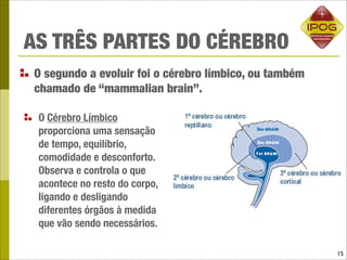 AS TRÊS PARTES DO CÉREBRO
O segundo a evoluir foi o cérebro límbico, ou também
chamado de “mammalian brain”.

 O Cérebro Límbico
 proporciona uma sensação
 de tempo, equilíbrio,
 comodidade e desconforto.
 Observa e controla o que
 acontece no resto do corpo,
 ligando e desligando
 diferentes órgãos à medida
 que vão sendo necessários.

                                                       15
 