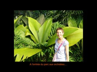 A l’entrée du parc aux orchidées... 