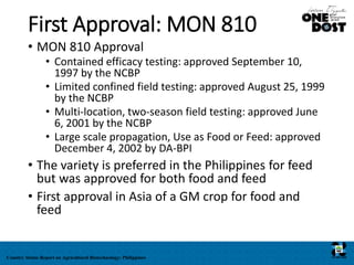 Mon 810 Success of GM Maize in Philippines | PPTX