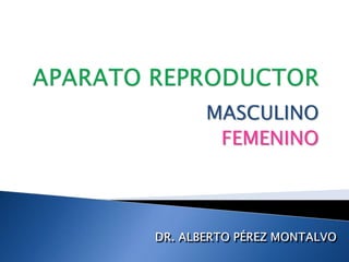 APARATO REPRODUCTOR MASCULINO FEMENINO DR. ALBERTO PÉREZ MONTALVO 