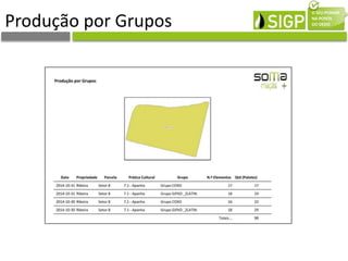 Produção por Grupos
 