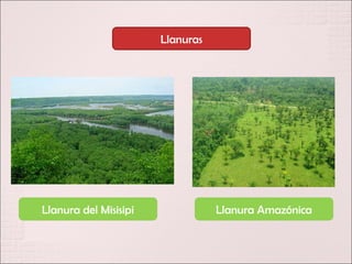Llanuras




Llanura del Misisipi              Llanura Amazónica
 
