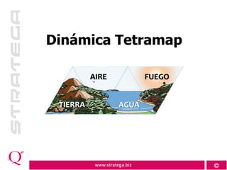 Tetramap: Formación de Equipos Multidisciplinarios y Análisis de ...