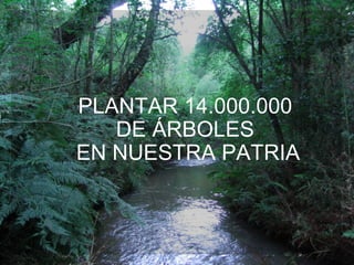 PLANTAR 14.000.000
DE ÁRBOLES
EN NUESTRA PATRIA
 