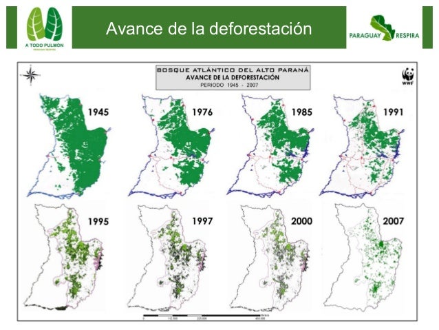 03 a todo pulmon presentación may 2013