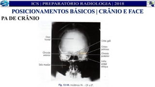 PA DE CRÂNIO
POSICIONAMENTOS BÁSICOS | CRÂNIO E FACE
 