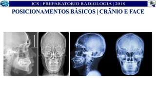 POSICIONAMENTOS BÁSICOS | CRÂNIO E FACE
 
