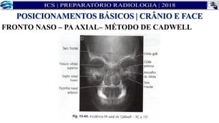 FRONTO NASO – PAAXIAL– MÉTODO DE CADWELL
POSICIONAMENTOS BÁSICOS | CRÂNIO E FACE
 