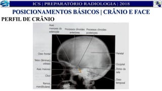 PERFIL DE CRÂNIO
POSICIONAMENTOS BÁSICOS | CRÂNIO E FACE
 