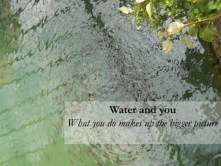 Water and you
What you do makes up the bigger picture

 