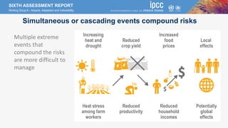 SIXTH ASSESSMENT REPORT
Working Group II – Impacts, Adaptation and Vulnerability
Simultaneous or cascading events compound...