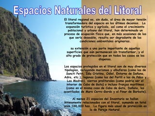 El litoral regional es, sin duda, el área de mayor tensión transformadora del espacio en los últimos decenios.  La expansión turística y agrícola, así como el crecimiento poblacional y urbano del litoral, han determinado un proceso de ocupación física que, en más ocasiones de las que sería deseable, resulta ser degradante de las condiciones ambientales originarias. su extensión a una parte importante de aquellas superficies que aún permanecen sin transformar, y el alto grado de protección que en todos los casos se les dispensa. Los espacios protegidos en el litoral son de muy diversas tipologías, incluyendo marismas y albuferas (como las de Sancti Petri, Isla Cristina, Odiel, Entorno de Doñana, Adra, etc.), lagunas (como las del Portil o las de Palos y Las Madres), sierras prelitorales (como podría ser el interior de Cabo de Gata) o incluso franjas marítimas (como en el mismo caso de Cabo de Gata, Doñana, los acantilados de Maro Cerro-Gordo y el Pinar de Barbate). Al menos 21 espacios del Inventario se hallan íntimamente relacionados con el litoral, sumando en total unas 160.000 has.  La figura más usual de protección es la de Paraje Natural . Espacios Naturales del Litoral 