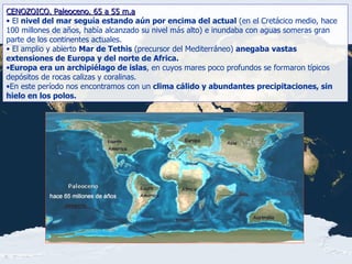CENOZOICO. Paleoceno. 65 a 55 m.a El  nivel del mar seguía estando aún por encima del actual  (en el Cretácico medio, hace 100 millones de años, había alcanzado su nivel más alto) e inundaba con aguas someras gran parte de los continentes actuales.  El amplio y abierto  Mar de Tethis  (precursor del Mediterráneo)  anegaba vastas extensiones de Europa y del norte de Africa.  Europa era un archipiélago de islas , en cuyos mares poco profundos se formaron típicos depósitos de rocas calizas y coralinas. En este período nos encontramos con un  clima cálido y abundantes precipitaciones, sin hielo en los polos. 