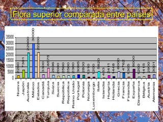 Flora superior comparada entre países 