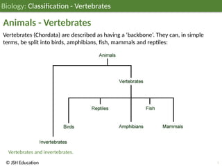 JSH03B012 Classification - Vertebrates; Biology Education ages 11-14 | PPTX