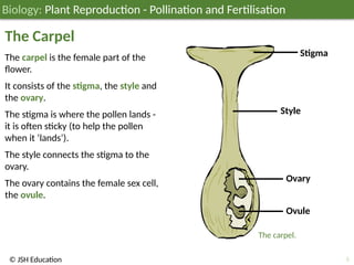 JSH03B049 Plant Reproduction - Pollination and Fertilisation; Biology ...