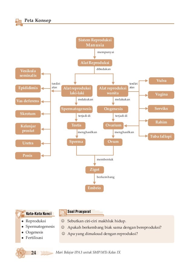 Reproduksi Manusia Reproduksi Manusia