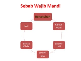 Sebab Wajib Mandi
Bersetubuh
Keluar
Mani
Berakhir
Haid
Berakhir
Nifas
Berlaku
Wiladah
Mati
 