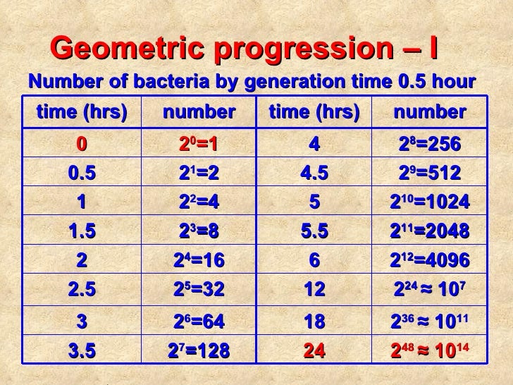 03 bacterial growth_2008