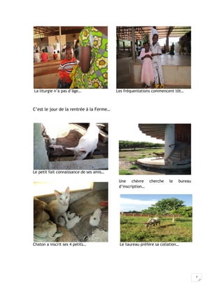 7
La liturgie n’a pas d’âge… Les fréquentations commencent tôt…
C’est le jour de la rentrée à la Ferme…
Le petit fait connaissance de ses amis…
Une chèvre cherche le bureau
d’inscription…
Chaton a inscrit ses 4 petits… Le taureau préfère sa collation…
 