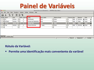 Painel de Variáveis
Rótulo da Variável:
 Permite uma identificação mais conveniente da variável
 