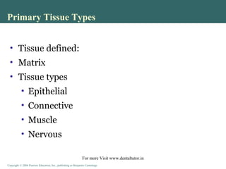 Copyright © 2004 Pearson Education, Inc., publishing as Benjamin CummingsCopyright © 2004 Pearson Education, Inc., publishing as Benjamin Cummings
• Tissue defined:
• Matrix
• Tissue types
• Epithelial
• Connective
• Muscle
• Nervous
Primary Tissue Types
For more Visit www.dentaltutor.in
 