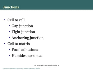Copyright © 2004 Pearson Education, Inc., publishing as Benjamin CummingsCopyright © 2004 Pearson Education, Inc., publishing as Benjamin Cummings
• Cell to cell
• Gap junction
• Tight junction
• Anchoring junction
• Cell to matrix
• Focal adhesions
• Hemidesmosomes
Junctions
For more Visit www.dentaltutor.in
 