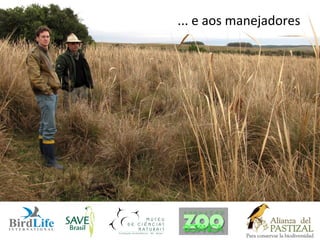 ... e aos manejadores
 