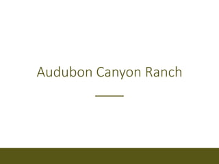 Audubon Canyon Ranch
 
