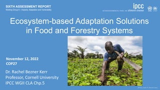 November 12, 2022
COP27
Ecosystem-based Adaptation Solutions
in Food and Forestry Systems
Dr. Rachel Bezner Kerr
Professor, Cornell University
IPCC WGII CLA Chp.5
SIXTH ASSESSMENT REPORT
Working Group II – Impacts, Adaptation and Vulnerability
 