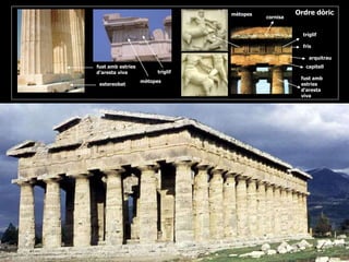 fust amb
estries
d’aresta
viva
capitell
arquitrau
fris
tríglif
cornisa
Ordre dòricmètopes
estereobat
tríglif
mètopes
fust amb estries
d’aresta viva
 