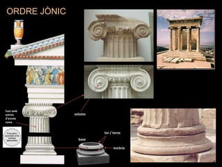 volutes
Fust amb
estries
d’aresta
roma
base
tor / toros
escòcia
ORDRE JÒNIC
 