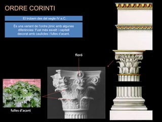 El trobem des del segle IV a.C.
És una variant de l’ordre jònic amb algunes
diferències: Fust més esvelt i capitell
decorat amb caulicles i fulles d’acant.
fulles d’acant
floró
ORDRE CORINTI
 