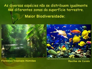 As diversas espécies não se distribuem igualmente
   nas diferentes zonas da superfície terrestre.
                  Maior Biodiversidade:




                              Imagem extraída de http://www.fantom-xp.com/en_11__Coral_reef_life_Fish_wallpapers.html

Florestas Tropicais Húmidas                                               Recifes de Corais
 
