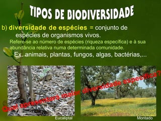 b) diversidade de espécies = conjunto de
     espécies de organismos vivos.
  Refere-se ao número de espécies (riqueza específica) e à sua
  abundância relativa numa determinada comunidade.
     Ex. animais, plantas, fungos, algas, bactérias,...


                                                              ica?
                                                 e es   pecíf
                                            idad
                               ior divers
                      rá m   a
          pres   enta
Qu   al a
                      Eucaliptal                          Montado
 