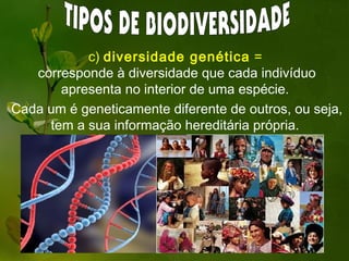 c) diversidade genética =
   corresponde à diversidade que cada indivíduo
       apresenta no interior de uma espécie.
Cada um é geneticamente diferente de outros, ou seja,
     tem a sua informação hereditária própria.
 